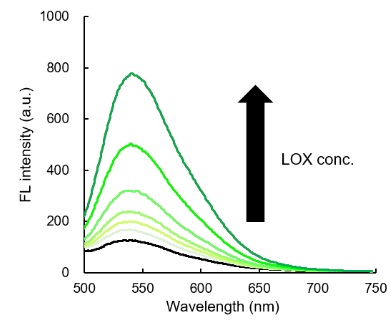 LipiRADICAL Greenの脂質ラジカル特異的な蛍光スペクトル